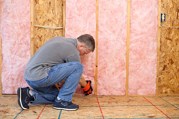 Types of Insulation We Offer in Wapello, IA